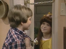 Load image into Gallery viewer, TV SMALL WONDER COMPLETE 4 SEASONS 17 DVD ISO SET SITCOM SHOW 1985-89