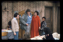 Load image into Gallery viewer, TV FISH COMPLETE TV SHOW 4 DVD ISO SET RARE SITCOM 1977-78