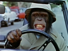 Load image into Gallery viewer, TV LANCELOT LINK COMPLETE TV SHOW 17 EPISODES 3 DVD ISO SET + BONUS 1970