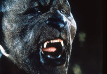 Load image into Gallery viewer, TV MANIMAL COMPLETE 8 EPISODE 2 DVD ISO FILE SET 1983 RARE TV SHOW