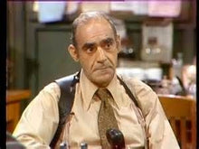 Load image into Gallery viewer, TV FISH COMPLETE TV SHOW 4 DVD ISO SET RARE SITCOM 1977-78