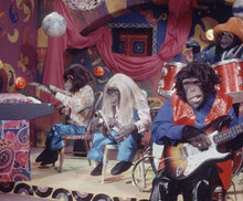 Load image into Gallery viewer, TV LANCELOT LINK COMPLETE TV SHOW 17 EPISODES 3 DVD ISO SET + BONUS 1970