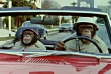 Load image into Gallery viewer, TV LANCELOT LINK COMPLETE TV SHOW 17 EPISODES 3 DVD ISO SET + BONUS 1970