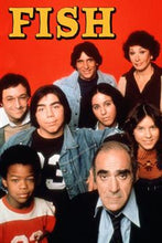 Load image into Gallery viewer, TV FISH COMPLETE TV SHOW 4 DVD ISO SET RARE SITCOM 1977-78