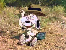 Load image into Gallery viewer, TV IT'S THE GIRL IN THE RED TRUCK CHARLIE BROWN PEANUTS SPECIAL 1988 MOVIE SUPER RARE DVD ISO