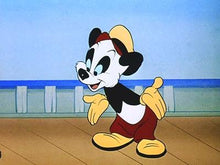 Load image into Gallery viewer, ANDY PANDA COMPLETE 26 EPISODES 2 DVD ISO SET EXTREMELY RARE CARTOON 1939-49