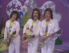 Load image into Gallery viewer, TV THE HUDSON BROTHERS RAZZLE DAZZLE SHOW COMPLETE 3 DVD ISO SET 1974-75