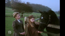 Load image into Gallery viewer, TV THE ADVENTURES OF BLACK BEAUTY COMPLETE 52 EPISODES 6 DVD ISO SET VERY RARE 1972-74