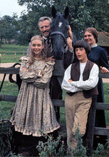 Load image into Gallery viewer, TV THE ADVENTURES OF BLACK BEAUTY COMPLETE 52 EPISODES 6 DVD ISO SET VERY RARE 1972-74