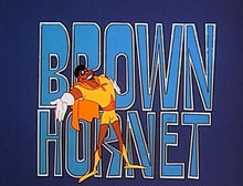 Load image into Gallery viewer, THE BROWN HORNET COMPLETE 44 EPISODES 2 DVD ISO SET 1979-84 VERY RARE SHOW