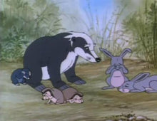 Load image into Gallery viewer, THE ANIMALS OF FARTHING WOOD COMPLETE 39 EPISODE 5 DVD ISO SET BRITISH TV SHOW CARTOON 1993-95