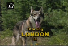 Load image into Gallery viewer, TV THE LITTLEST HOBO 114 EPISODES 16 DVD ISO SET 1979-1985 TV SHOW
