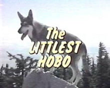 Load image into Gallery viewer, TV THE LITTLEST HOBO 114 EPISODES 16 DVD ISO SET 1979-1985 TV SHOW