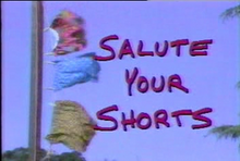 Load image into Gallery viewer, TV SALUTE YOUR SHORTS COMPLETE 26 EPISODES 2 DVD ISO SET 1991-92