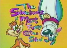 Load image into Gallery viewer, The Shnookums and Meat Funny Cartoon Show Complete 13 Episodes 2 DVD ISO set 1995 Extremely Rare