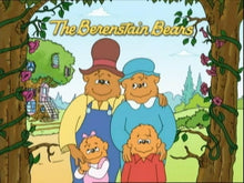 Load image into Gallery viewer, THE BERENSTAIN BEARS COMPLETE (2003 TV SERIES) SEASON 3 & 4 DVD SET VERY RARE 2003-2004
