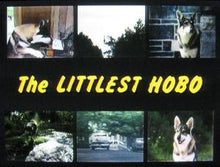 Load image into Gallery viewer, TV THE LITTLEST HOBO 114 EPISODES 16 DVD ISO SET 1979-1985 TV SHOW