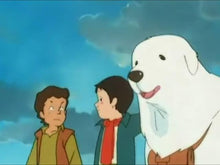 Load image into Gallery viewer, BELLE & SEBASTIEN RARE 80's CARTOON COMPLETE 52 EPISODES ENGLISH 8 DVD ISO SET 1981-82