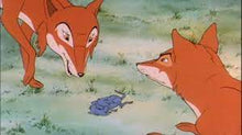 Load image into Gallery viewer, THE ANIMALS OF FARTHING WOOD COMPLETE 39 EPISODE 5 DVD ISO SET BRITISH TV SHOW CARTOON 1993-95