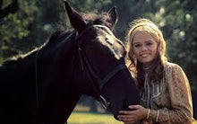 Load image into Gallery viewer, TV THE ADVENTURES OF BLACK BEAUTY COMPLETE 52 EPISODES 6 DVD ISO SET VERY RARE 1972-74