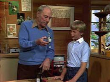 Load image into Gallery viewer, TV MR WIZARD'S WORLD GREATEST HITS 5 DVD ISO SET GLOBAL