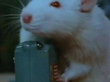 Load image into Gallery viewer, TV HAMMY HAMSTER TALES OF THE RIVERBANK 11 DVD ISO Set 35 Episodes TV Show 1995