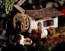 Load image into Gallery viewer, TV HAMMY HAMSTER TALES OF THE RIVERBANK 11 DVD ISO Set 35 Episodes TV Show 1995