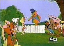 Load image into Gallery viewer, THE HILLBILLY BEARS COMPLETE 26 EPISODE DVD ISO SET 1965 VERY RARE CARTOON