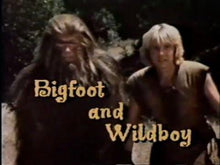 Load image into Gallery viewer, TV BIGFOOT & WILDBOY TV SERIES ON 3 DVD ISO VERY RARE SHOW 1977-79