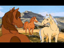 Load image into Gallery viewer, THE SILVER BRUMBY COMPLETE 39 EPISODES ANIMATED 5 DVD SET 1994-98 VERY RARE CARTOON
