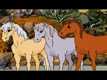 Load image into Gallery viewer, THE SILVER BRUMBY COMPLETE 39 EPISODES ANIMATED 5 DVD SET 1994-98 VERY RARE CARTOON