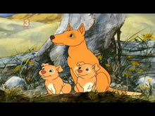 Load image into Gallery viewer, THE SILVER BRUMBY COMPLETE 39 EPISODES ANIMATED 5 DVD SET 1994-98 VERY RARE CARTOON