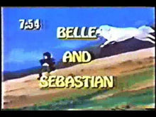 Load image into Gallery viewer, BELLE & SEBASTIEN RARE 80's CARTOON COMPLETE 52 EPISODES ENGLISH 8 DVD ISO SET 1981-82