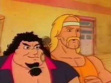 Load image into Gallery viewer, Hulk Hogan Rock N Wrestling Complete 5 DVD ISO Series WWF 1985-86