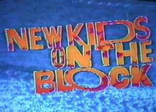 Load image into Gallery viewer, NEW KIDS ON THE BLOCK 3 DVD set COMPLETE 15 CARTOON + XMAS SPECIAL DVD set Very Rare!! NKOTB 1990