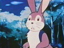 Load image into Gallery viewer, FABLES OF THE GREEN FOREST COMPLETE 1978 KIDS CARTOON 11 DVD ISO SET TVO 52 EPISODES