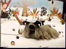 Load image into Gallery viewer, TV PINWHEEL 3 DVD ISO SET EXTREMELY RARE SHOW 1979-90 CARTOON