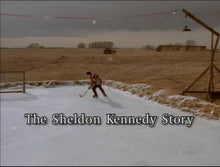 Load image into Gallery viewer, TV THE SHELDON KENNEDY STORY DVD (TV 1999) JONATHAN SCARFE, POLLY SHANNON, ROBERT WISDEN