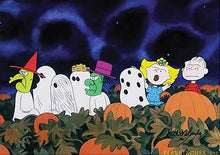 Load image into Gallery viewer, CHARLIE BROWN PEANUTS HOLIDAY COLLECTION DVD ISO 70s 80s 90s
