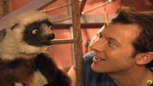 Load image into Gallery viewer, KIDS ZOBOOMAFOO TV SHOW KRATT BROTHERS COMPLETE 65 EPISODES 13 DVD ISO SET 1999-2001