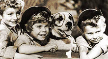 Load image into Gallery viewer, TV LITTLE RASCALS 11 DVD ISO SET 1-11 88 EPISODES
