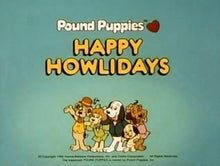 Load image into Gallery viewer, POUND PUPPIES 1986-89 COMPLETE CARTOON SEASON 1-3 ( 4 DVD SET)
