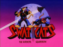 Load image into Gallery viewer, Swat Kats: The Radical Squadron Complete DVD ISO Set 1993-94
