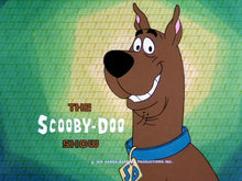 Load image into Gallery viewer, THE SCOOBY DOO SHOW CARTOON 40 EPS 5 DVD ISO SET 1976-78 VERY RARE SHOW
