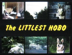 TV THE LITTLEST HOBO 114 EPISODES 16 DVD ISO SET 1979-1985 TV SHOW