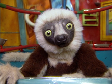 Load image into Gallery viewer, KIDS ZOBOOMAFOO TV SHOW KRATT BROTHERS COMPLETE 65 EPISODES 13 DVD ISO SET 1999-2001
