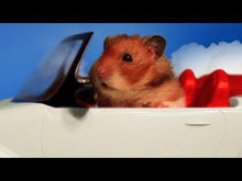 Load image into Gallery viewer, TV HAMMY HAMSTER TALES OF THE RIVERBANK 11 DVD ISO Set 35 Episodes TV Show 1995
