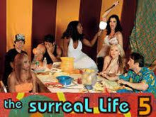 Load image into Gallery viewer, TV The Surreal Life All 7 Seasons Full + Fame Games Complete 14 DVD ISO set
