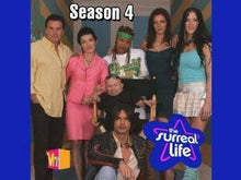 Load image into Gallery viewer, TV The Surreal Life All 7 Seasons Full + Fame Games Complete 14 DVD ISO set
