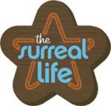 TV The Surreal Life All 7 Seasons Full + Fame Games Complete 14 DVD ISO set